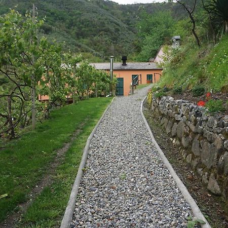 Agriturismo U Muinettu La Spezia Exteriér fotografie