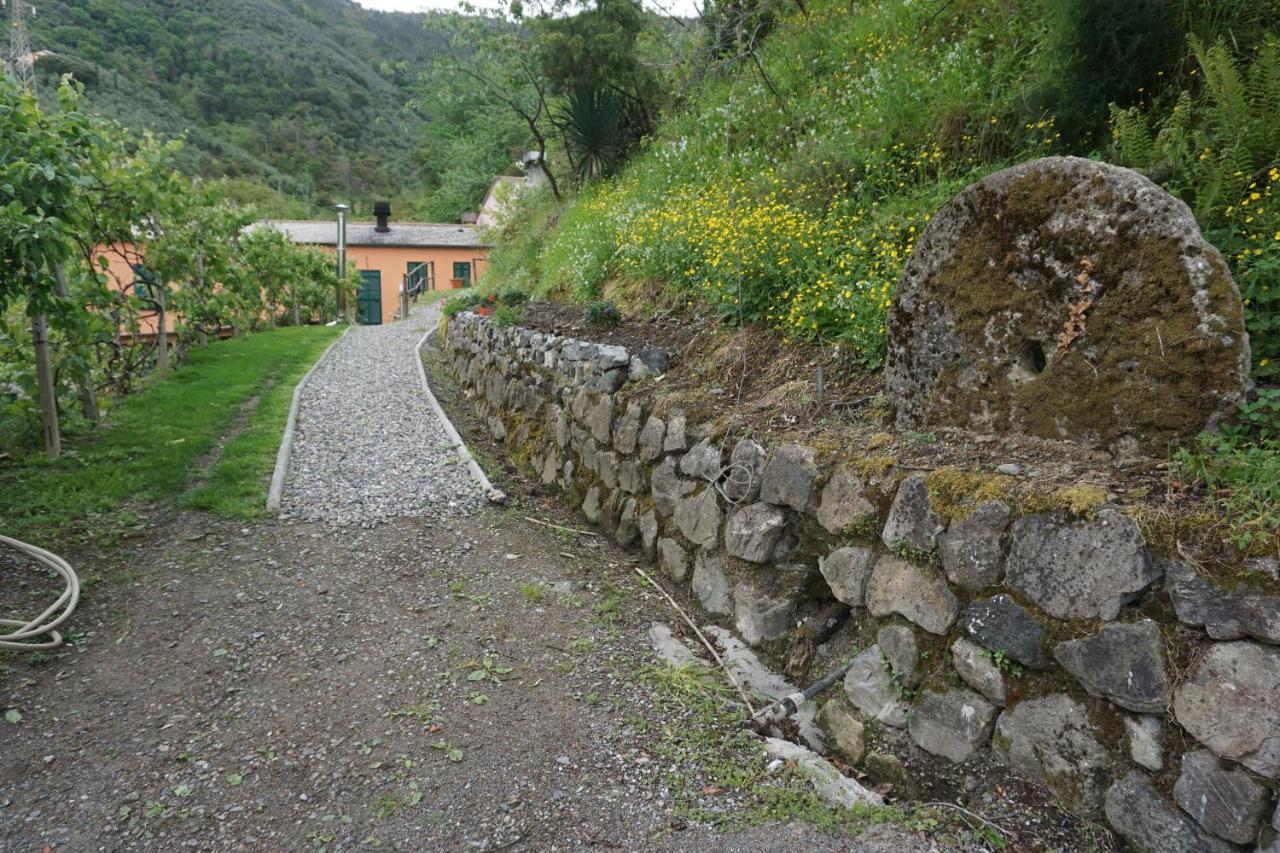 Agriturismo U Muinettu La Spezia Exteriér fotografie
